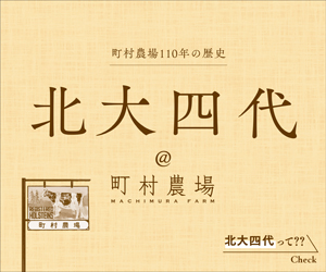 広告（大）